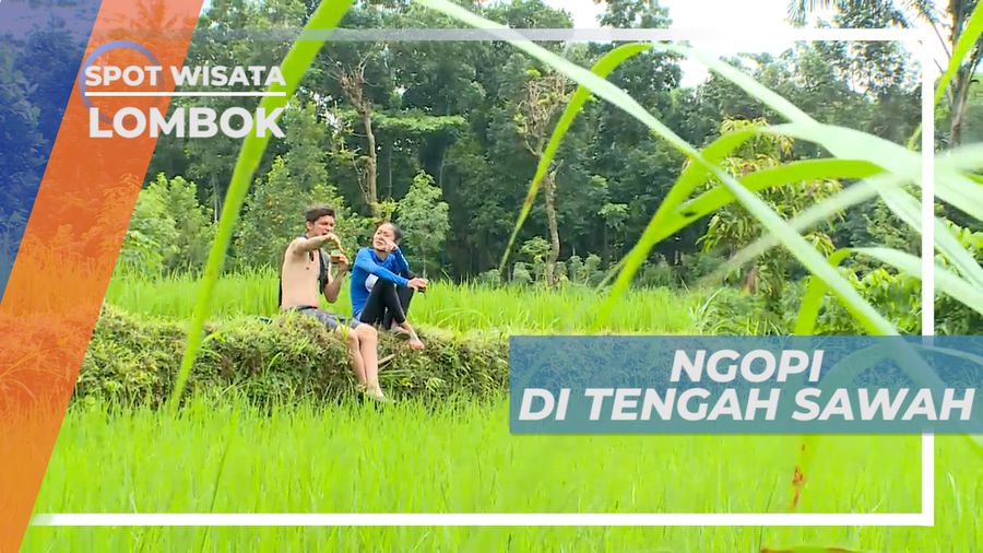 Menikmati Suasana Persawahan Ditemani Secangkir Kopi Hangat, Lombok