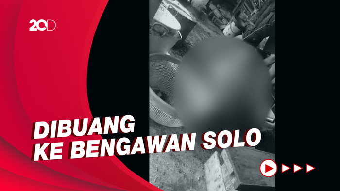 Investigasi DMFI Ungkap Operasi Perdagangan Anjing Ilegal di Solo