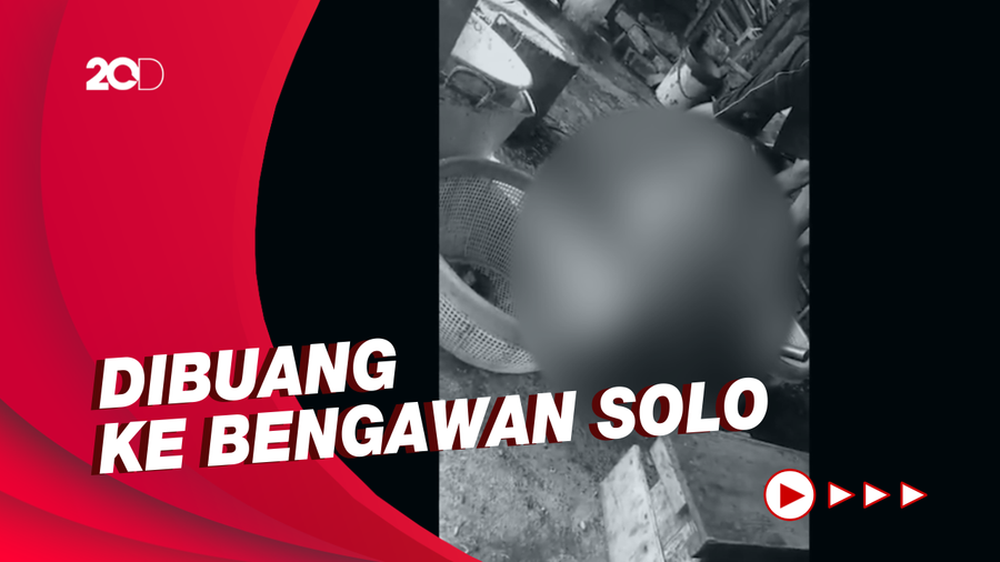 Investigasi DMFI Ungkap Operasi Perdagangan Anjing Ilegal di Solo