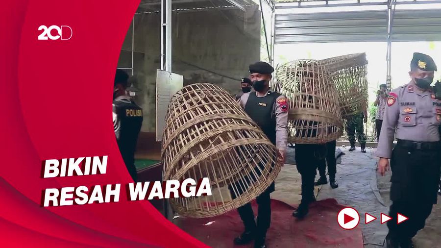 Polisi Gerebek Tempat Judi Sabung Ayam di Kudus, 1 Orang Diamankan