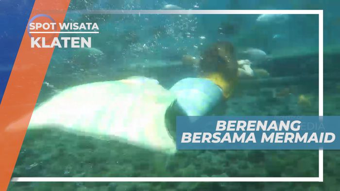 Bertemu Putri Duyung di Umbul Ponggok, Klaten