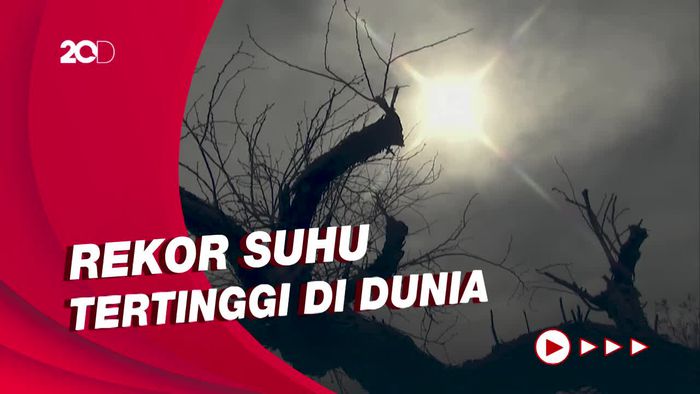 Ini Tempat Terpanas di Dunia, Suhu di Atas 50 Derajat Celsius