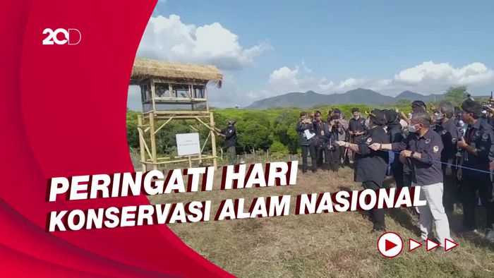 Menteri LHK Siti Nurbaya Lepasliarkan 108 Ekor Curik Bali ke Habitat