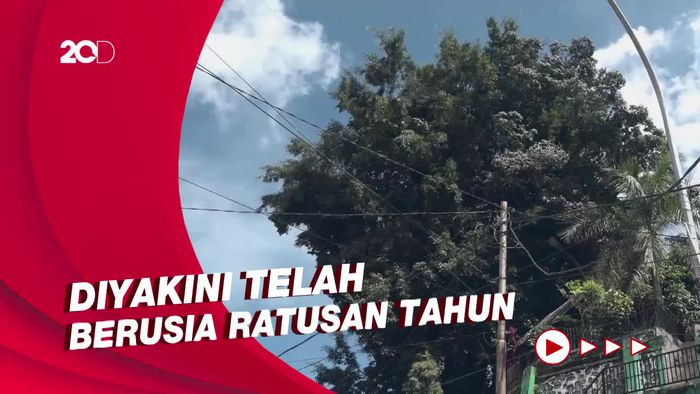 Mengenal Situs To Pao yang Jadi Saksi Sejarah Mamasa