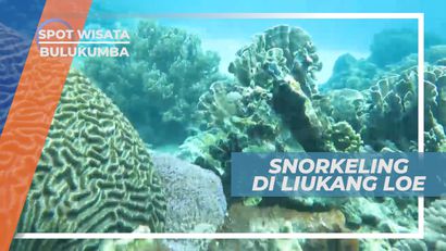 Snorkeling untuk Menikmati Keindahan Bawah Laut Liukang Loe, Bulukumba