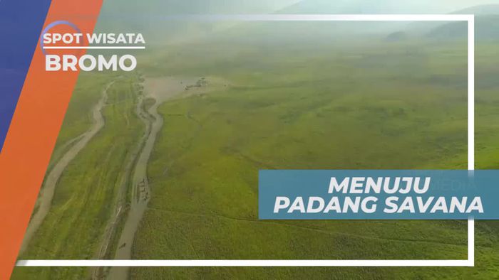 Berkuda Menuju Padang Savana Gunung Bromo Jawa Timur