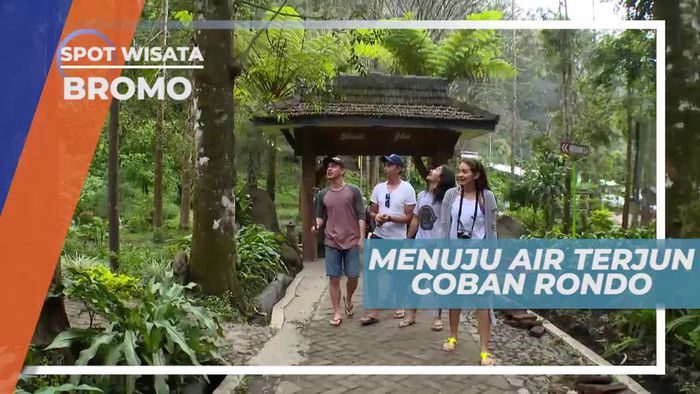 Berinteraksi Dengan Monyet Dalam Perjalanan Menuju Air Terjun Coban Rondo Jawa Timur