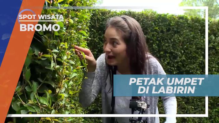 Bermain Petak Umpet di Labirin Coban Rondo Jawa Timur
