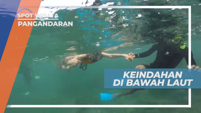 Mengintip Indahnya Surga Bawah Laut yang Mempesona, Pangandaran
