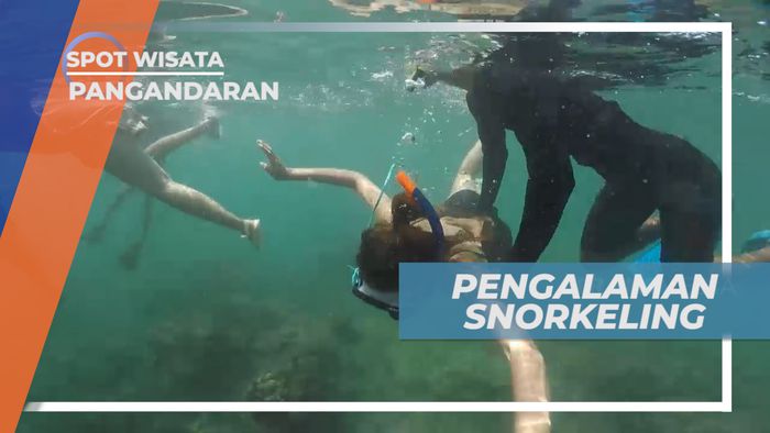 Serunya Snorkeling Menjelajahi Keindahan Bawah Laut Pangandaran