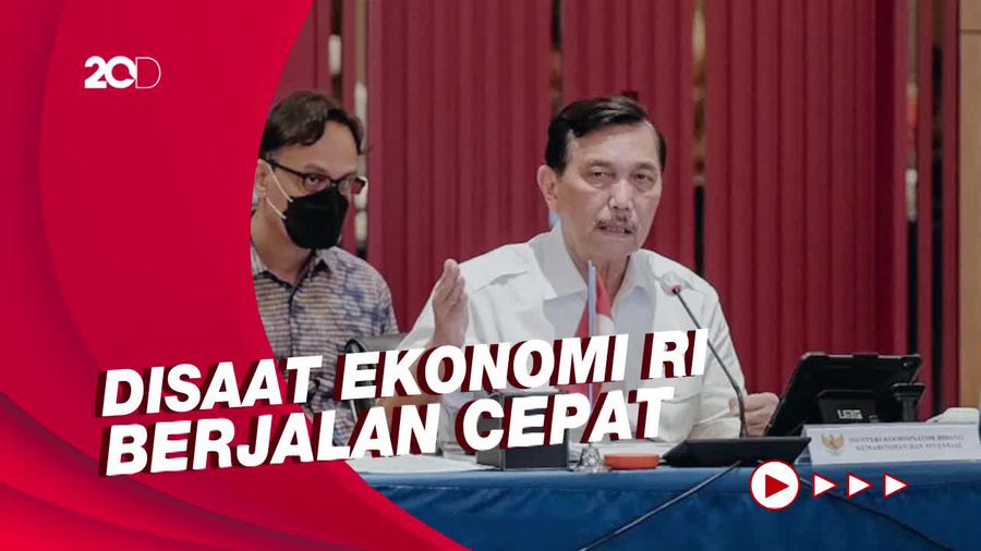 Luhut: Kalau Saya Lihat, Demo-demo Itu Banyakan dari yang Nggak Jelas