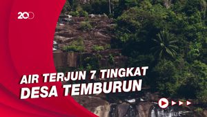 Melihat Keindahan Alam Air Terjun 7 Tingkat dan Mangrove Pulau Tarempa