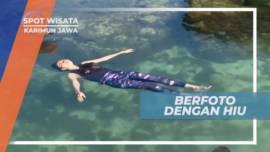Berfoto dengan Para Hiu, Karimunjawa