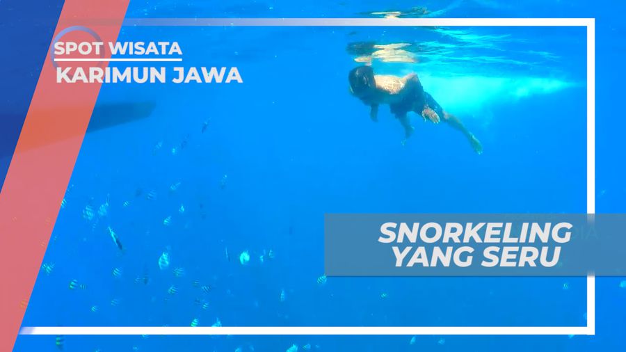 Mengintip Pesona Indah Surga Bawah Laut Menjangan Besar, Karimunjawa