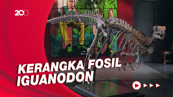 Kerangka Dinosaurus Kecil Dijual, Tingginya 1,3 Meter