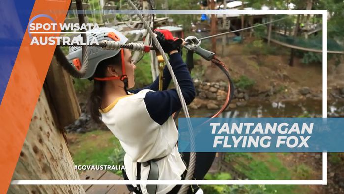Pacu Adrenalin Meluncur Seru Bermain Flying Fox yang Menegangkan, Australia