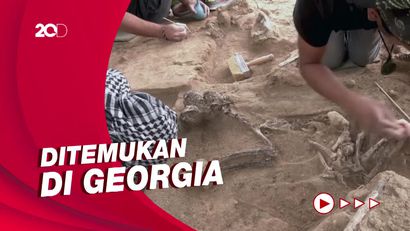 Melihat Fosil Gigi Manusia Purba Berusia 1,8 Juta Tahun