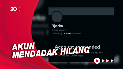 Usai Senggol Puan Maharani-Erick Thohir, Twitter Hacker Bjorka Hilang