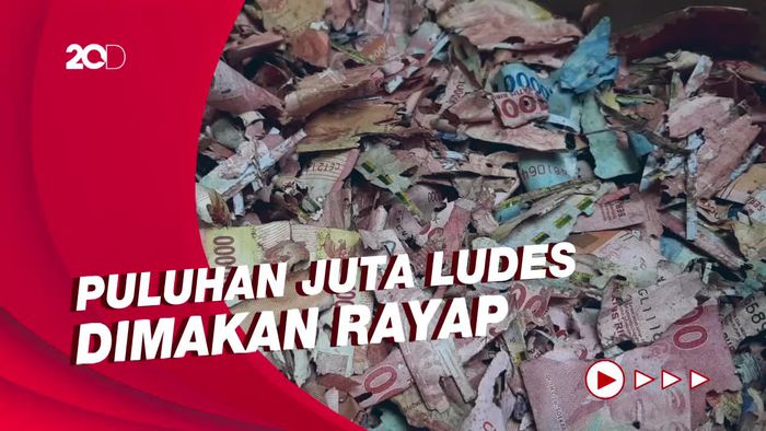 Uang Tabungan Hajinya Dimakan Rayap, Penjaga SD Ini Harap Bisa Ditukar