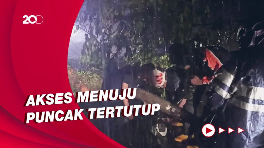 Pohon Besar Tumbang Tutup Jalan, Jalur Puncak-Cianjur Macet Parah!
