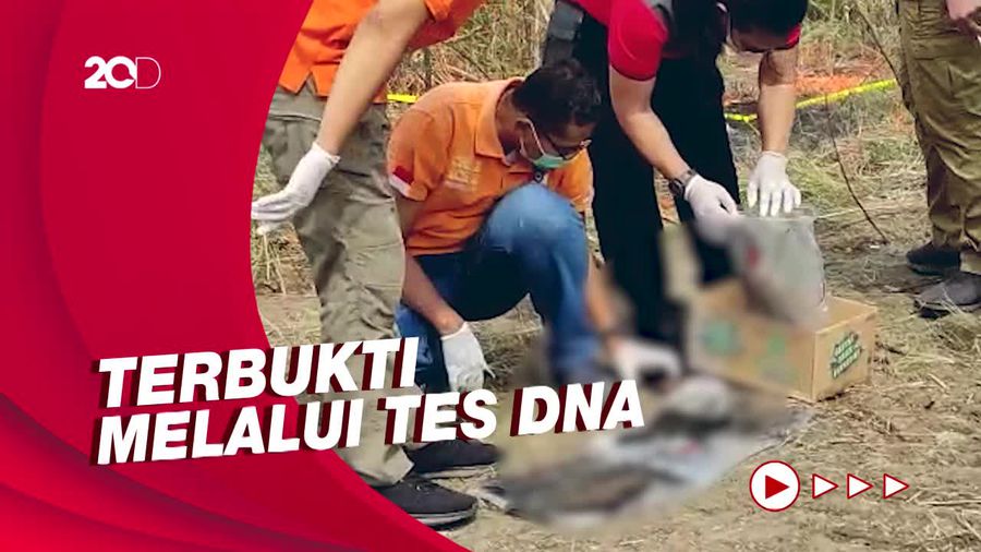 Misteri Mayat Hangus Tanpa Kepala, Ternyata PNS Semarang Saksi Korupsi