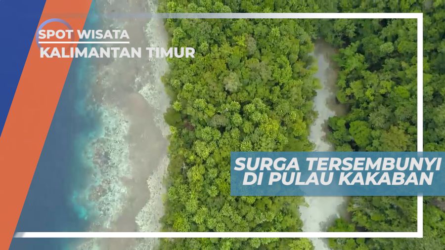 Bersantai Surga Tersembunyi Pulau Kakaban, Kalimantan Timur