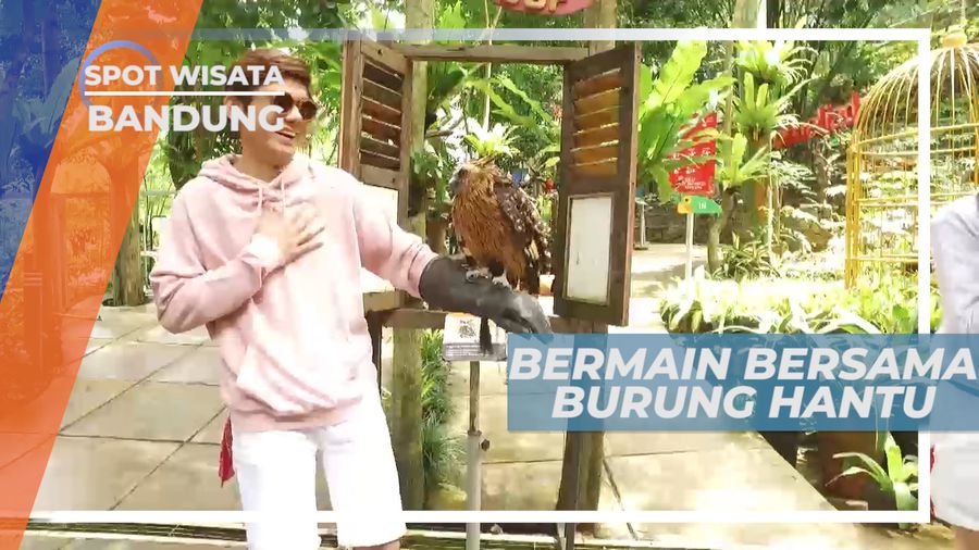 Berfoto Bersama Burung Hantu, Bandung
