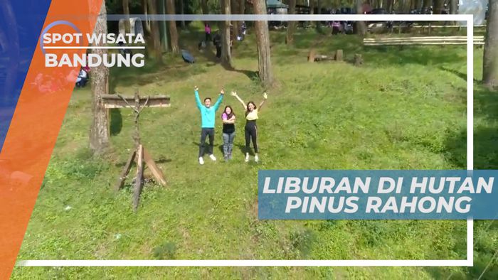 Wisata di Sejuknya Udara Hutan Pinus Rahong, Bandung