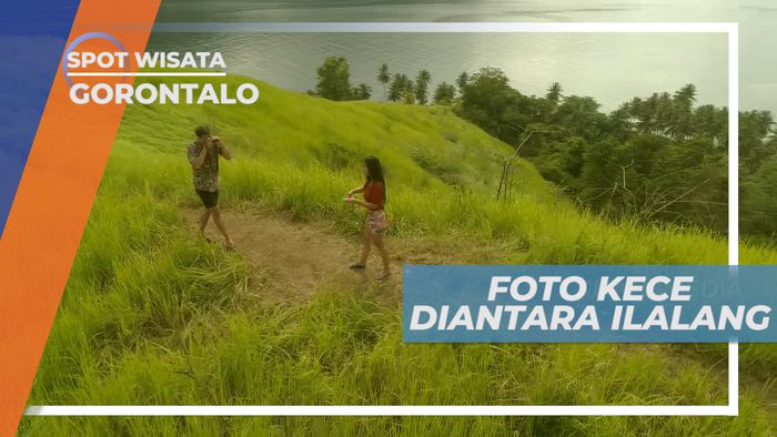 Bukit Diyonumo, Cekrak-cekrek Berpose Cantik di Antara Ilalang, Gorontalo