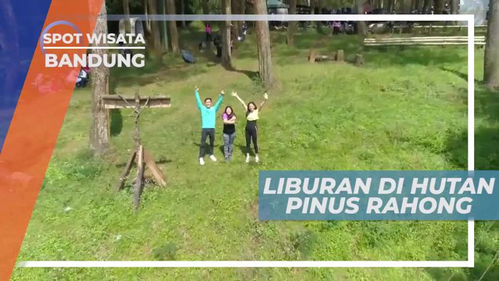 Keindahan Hamparan Hutan Pinus di Bandung