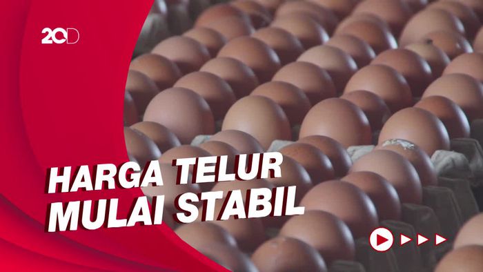 Produksi Telur Surplus, Kementan Jamin Stok Cukup Sampai Akhir Tahun