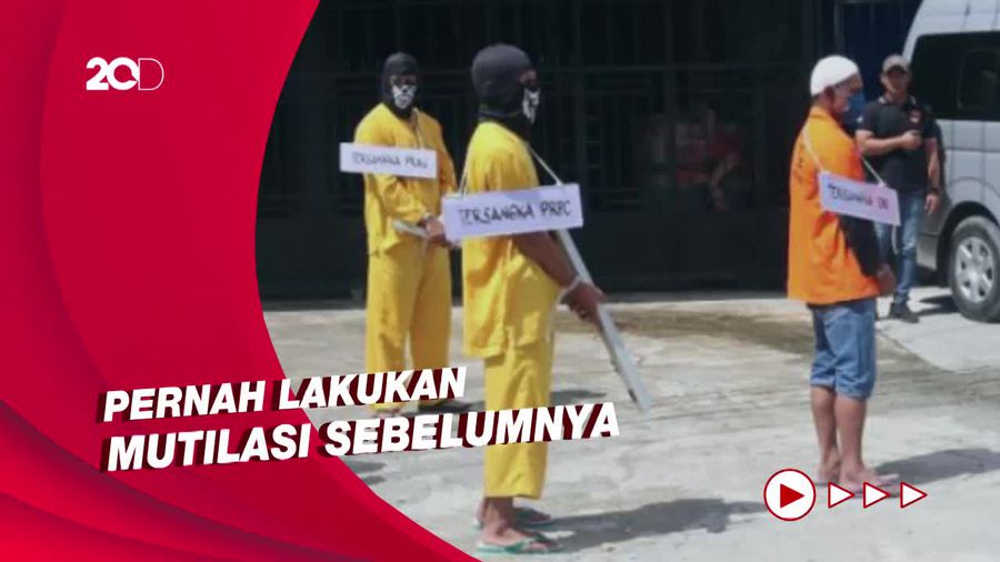 Komnas HAM Duga Pelaku Mutilasi di Mimika Sudah Berpengalaman