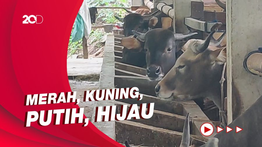  4 Zona Lalu Lintas Hewan dan Produk Daging untuk Cegah PMK