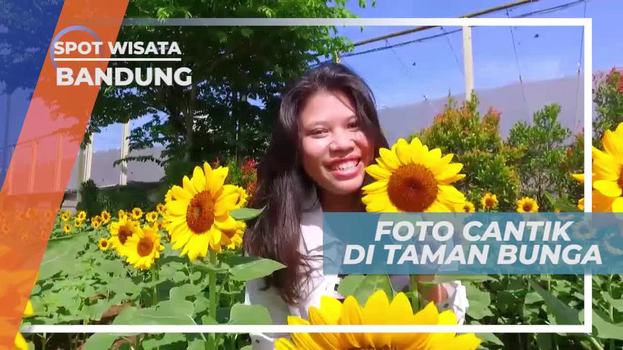 Mengabadikan Momen di Taman Bunga Matahari, Bandung