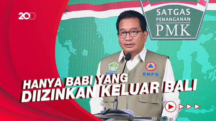 Upaya Pemerintah Jadikan Bali Bebas Wabah PMK Jelang G20