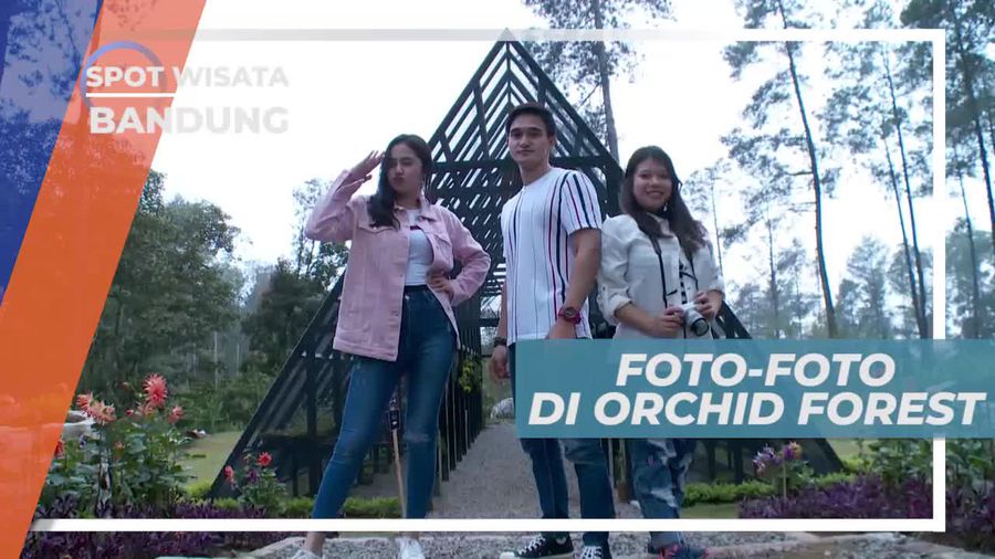 Mengabadikan Momen Liburan di Orchid Forest Cikole Bandung