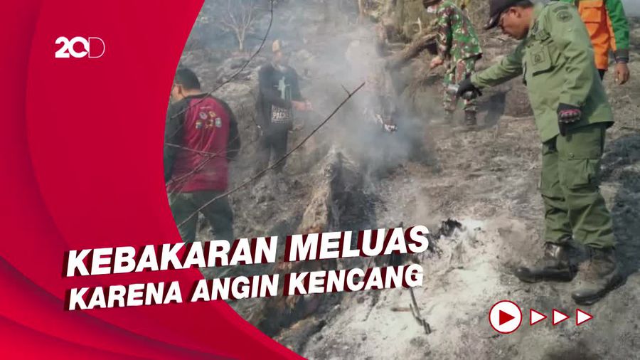 10 Hektare Lahan dan Hutan di Semeru Terbakar, Satu ODGJ Diamankan