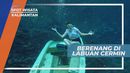 Keindahan Bawah Laut Labuan Cermin yang Penuh Warna, Kalimantan Timur