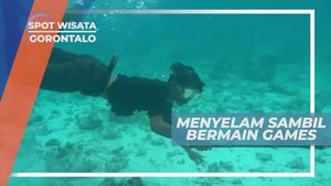 Menyelami Lautan Mencari Batu, Tantangan Seru di Pulo Cinta Gorontalo