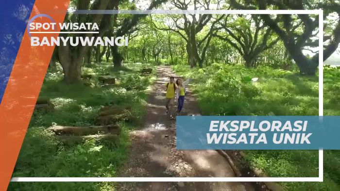 Berkunjung ke Banyuwangi, Mengeksplor Wisata Indah di Ujung Timur Pulau Jawa