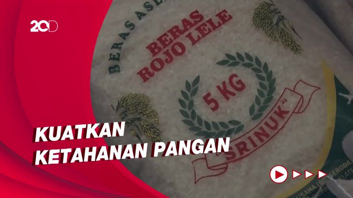 Bantu Petani, ASN di Klaten Jateng Wajib Beli Beras 10 Kg