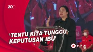 Kata Johan Budi soal Dewan Kolonel yang Kawal Puan Jadi Capres