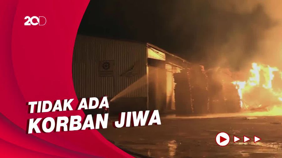 Si Jago Merah Lalap Pabrik Pengolahan Kayu di Probolinggo