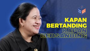 Ungkapan Puan Maharani Menatap Panggung Capres