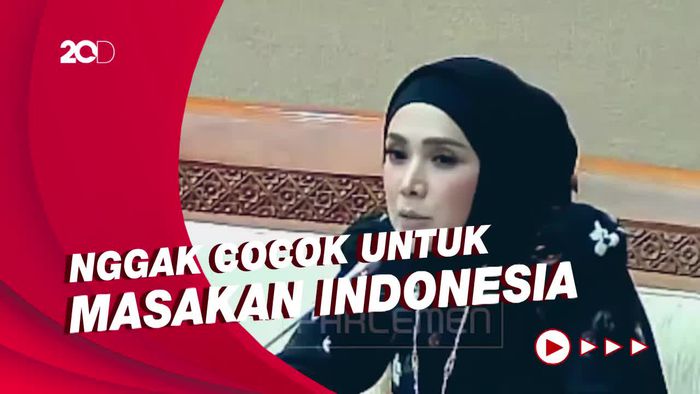 Saat Mulan Jameela Kritik Wacana Pemakaian Kompor Induksi