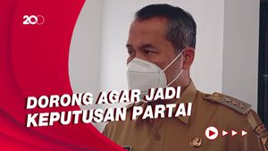 Kontribusi Puan di PDIP yang Dirasa Layak Jadi Capres