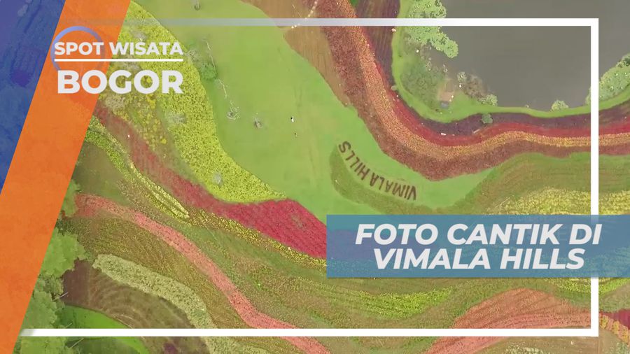 Bunga Cantik Aneka Warna untuk Latar Berfoto, Bogor