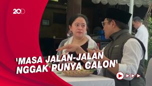 Puan Sudah Punya Incaran Cawapres, Ini Kriterianya