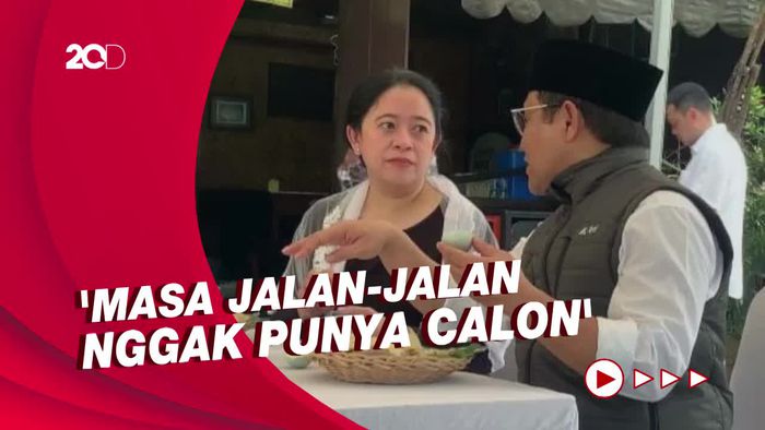 Puan Sudah Punya Incaran Cawapres, Ini Kriterianya