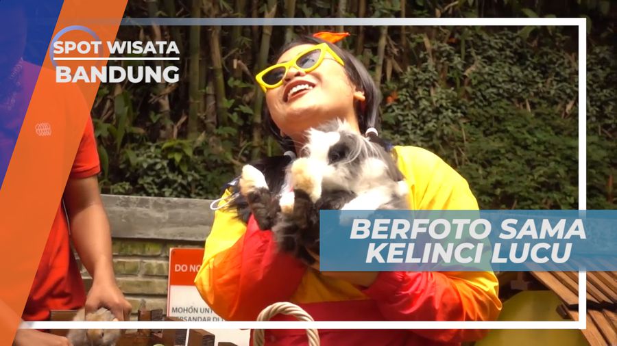 Cekrak-cekrek Berfoto Seru Dengan Binatang Lucu Bertelinga Panjang, Bandung